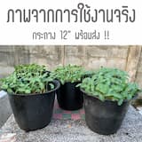 ภาพย่อ 4