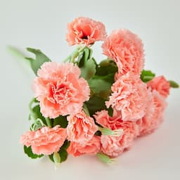 ภาพย่อ 4