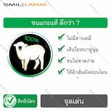 ภาพย่อ 3