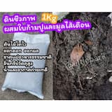 ภาพย่อ 1