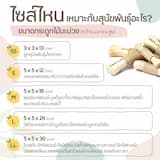 ภาพย่อ 2