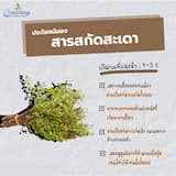 ภาพย่อ 5