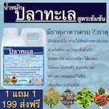ภาพย่อ 4