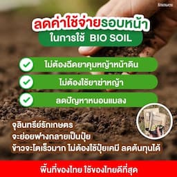ภาพย่อ 7