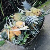 ภาพย่อ 2