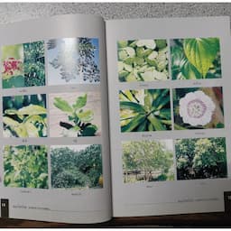 ภาพย่อ 3