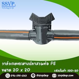 ภาพย่อ 2