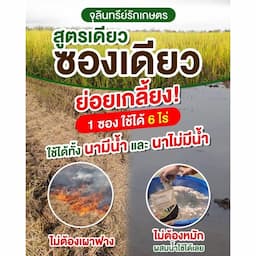 ภาพย่อ 6