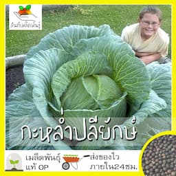 ภาพย่อ 4