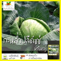 ภาพย่อ 7