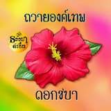 ภาพย่อ 1