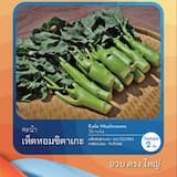 ภาพย่อ 2