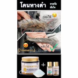 ภาพย่อ 4