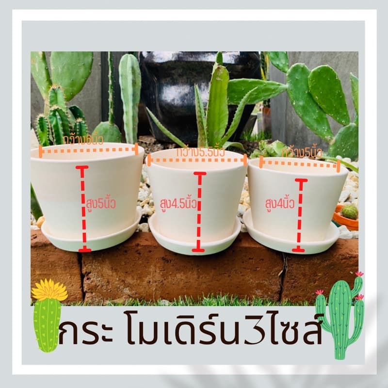 กระถางดินเผา โมเดิร์น ทรงวี พร้อมรองกระถาง - รูปที่ 1