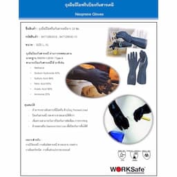 ภาพย่อ 2