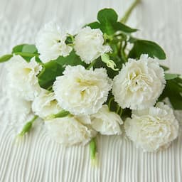 ภาพย่อ 5