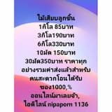 ภาพย่อ 5