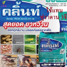 ภาพย่อ 7