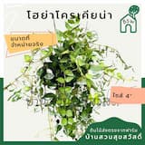 ภาพย่อ 2