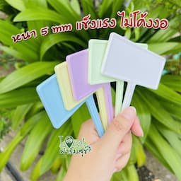 ภาพย่อ 2