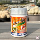 ภาพย่อ 7