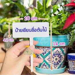 ภาพย่อ 3