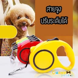 ภาพย่อ 4