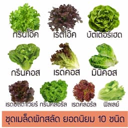 ภาพย่อ 5