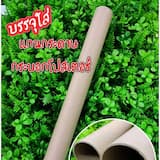 ภาพย่อ 3