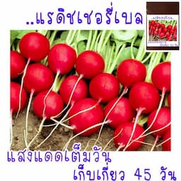 ภาพย่อ 1