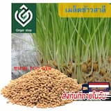 ภาพย่อ 5