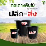 ภาพย่อ 1