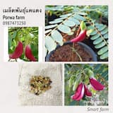 ภาพย่อ 1