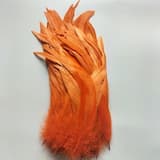 ภาพย่อ 3