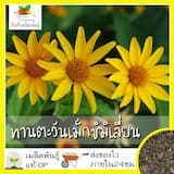 ภาพย่อ 7