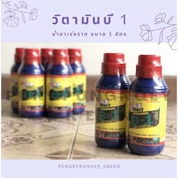 ภาพย่อ 1