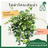 ภาพย่อ 1