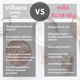 ภาพย่อ 8