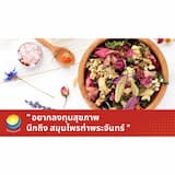 ภาพย่อ 7