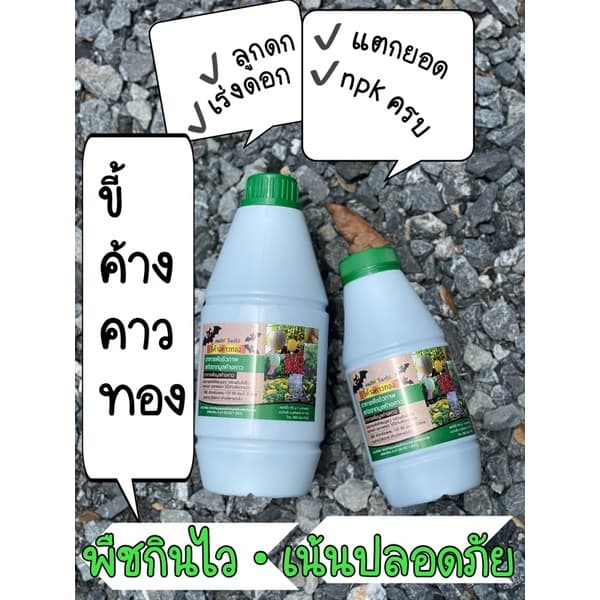ขี้ค้างคาวทองแท้100% พร้อมส่ง - รูปที่ 1