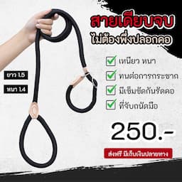 ภาพย่อ 6