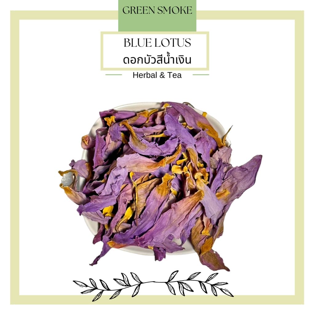 Blue Lotus Tea ชาดอกบัวสีน้ำเงิน - รูปที่ 1