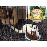 ภาพย่อ 4