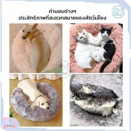 ภาพย่อ 5