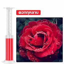 ภาพย่อ 5