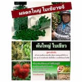ภาพย่อ 4