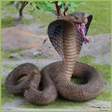 ภาพย่อ 5