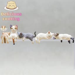 ภาพย่อ 5