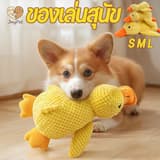 ภาพย่อ 1