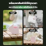 ภาพย่อ 7